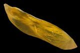 Amber-Yellow Calcite Crystal - Highly Fluorescent! #177281-1